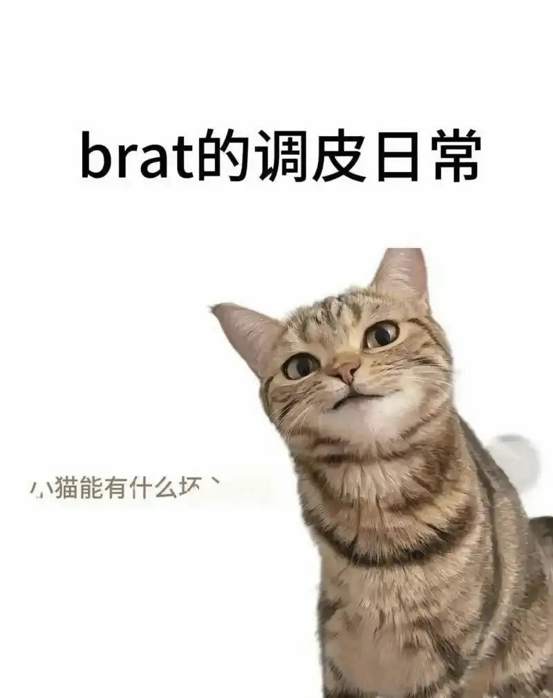 西檬之家字母圈Aftercare是什么? 一