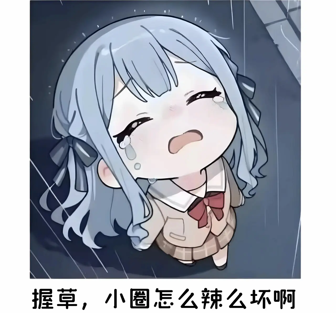 西檬之家SP是什么意思?字母圈新人如何入圈 一