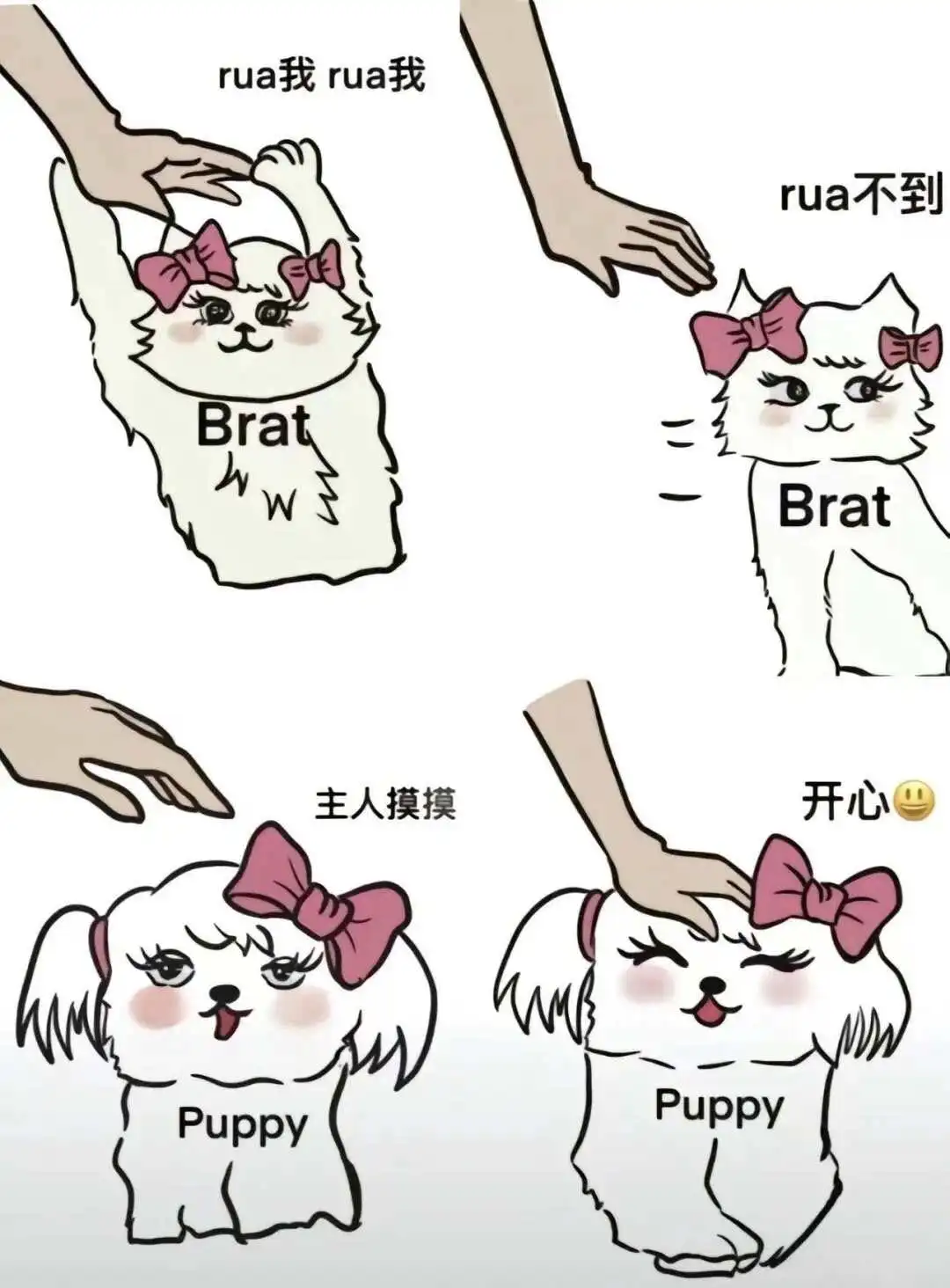 西檬之家Sp小圈是什么意思? 一