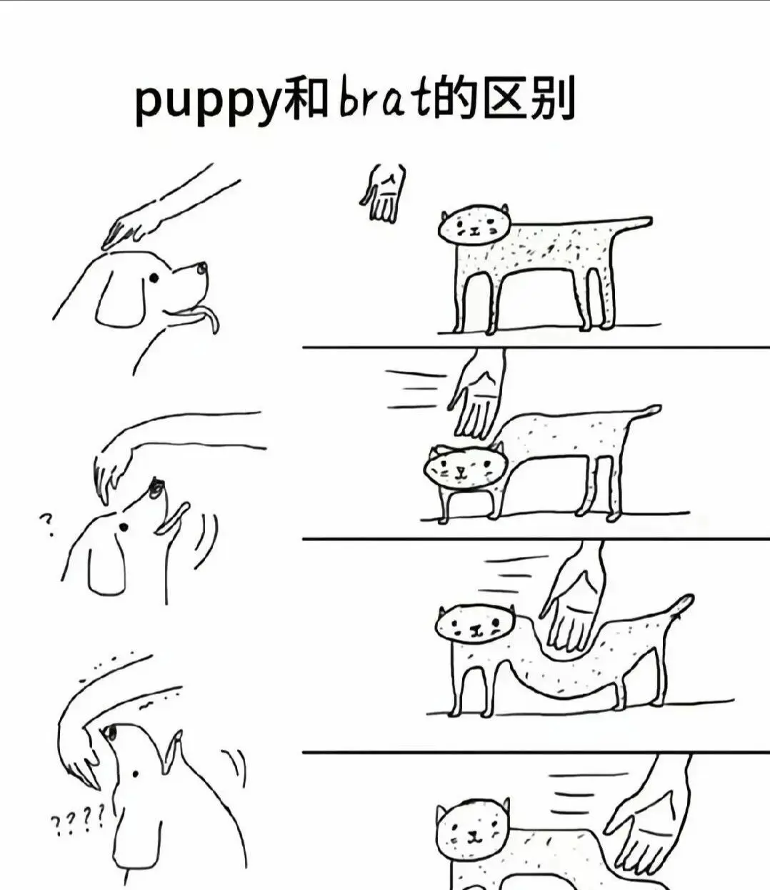 西檬之家K9是什么?你的字母圈属性 一