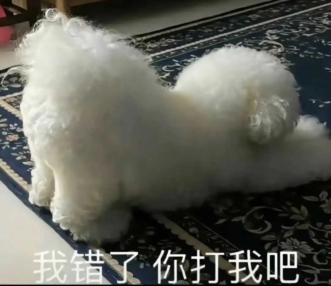 西檬之家恋足癖是什么?字母圈的独特审美 一
