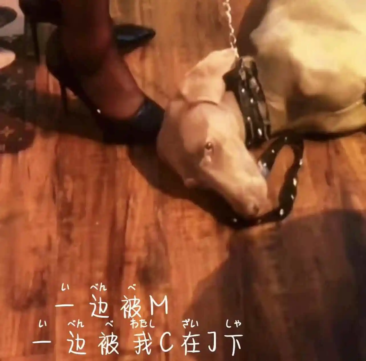 西檬之家恋足癖是什么?字母圈新人如何理解 一
