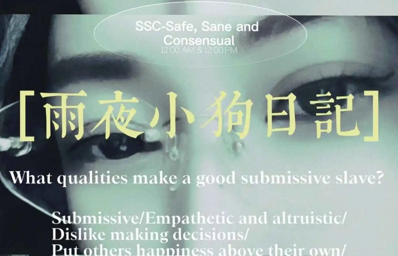 西檬之家s属性是什么意思 一