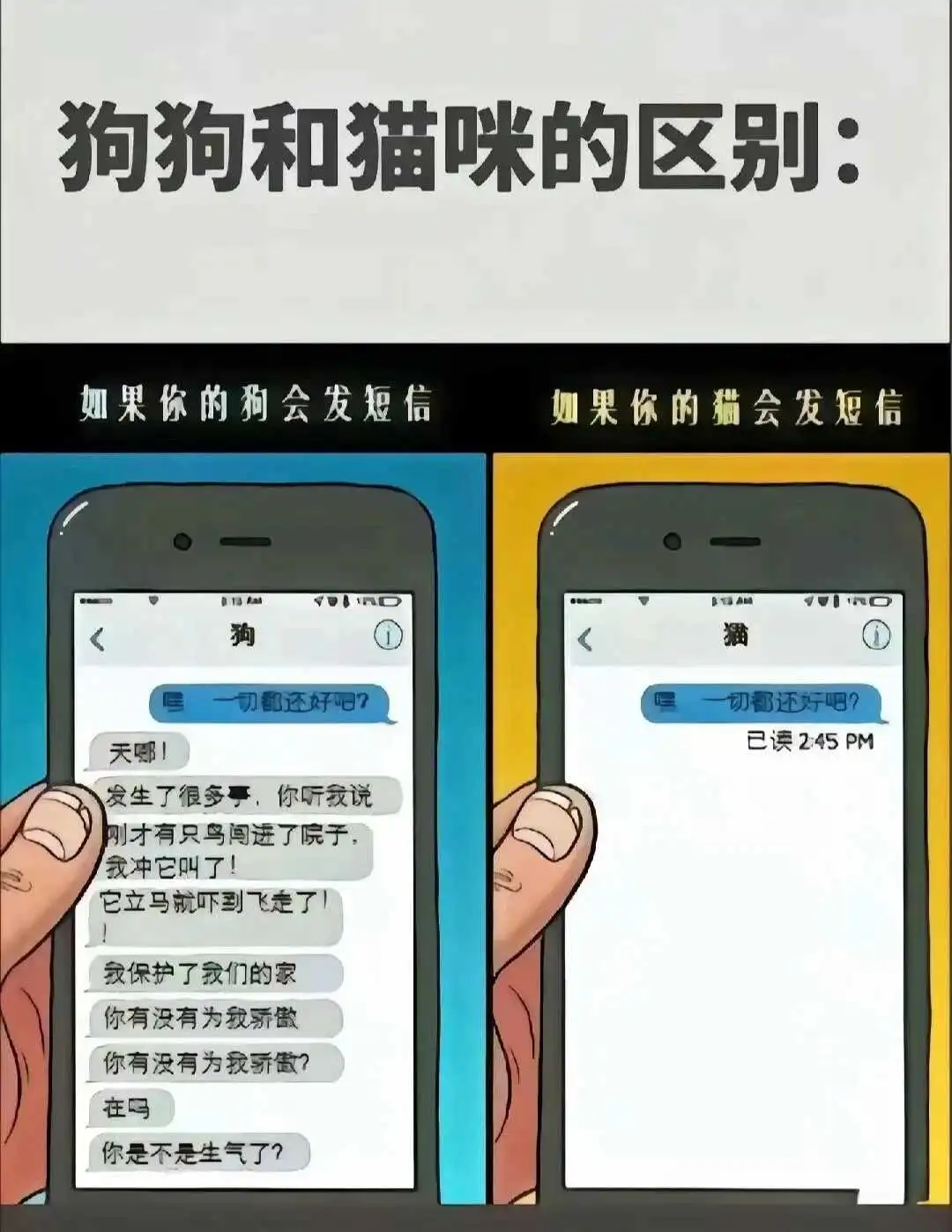 西檬之家m倾向是什么?你的字母圈属性是什么 一