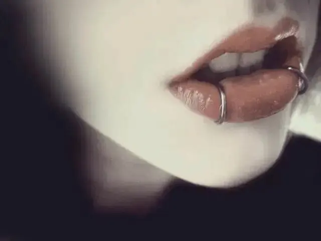 西檬之家K9犬系是什么? 一