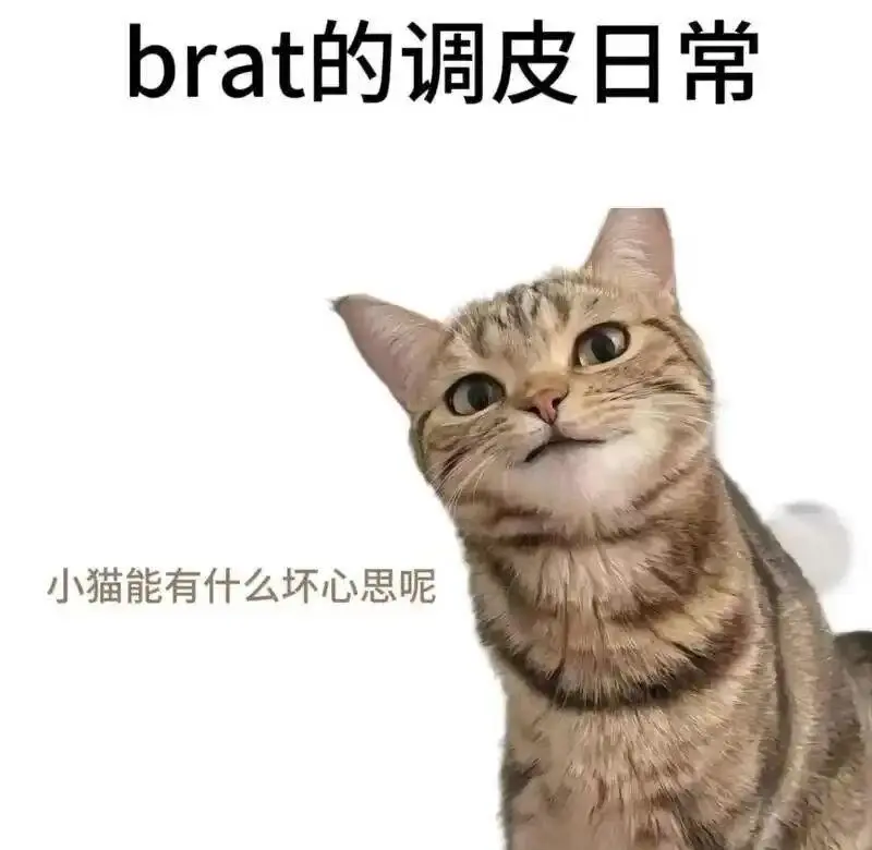 西檬之家字母圈brat属性是什么? 一